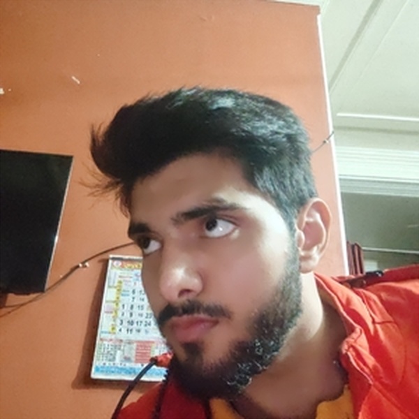Mayank - Mathematics tutor - New Delhi