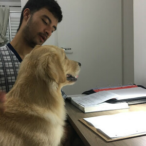 Estevao (Steve) - Maths tutor - Waterloo