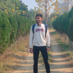 Aditya - Maths tutor - Pathankot