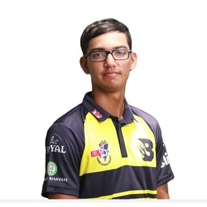Sanjay - ESL tutor - 