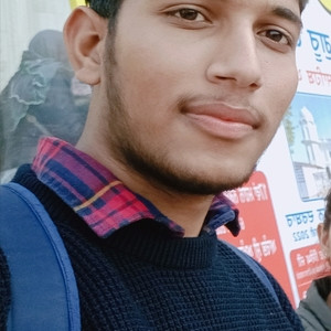 Aaditya Bharadwaj - Physics tutor - 