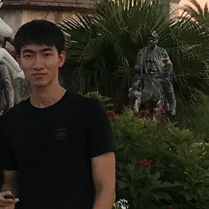 Duy - Maths tutor - Pullman