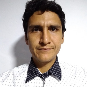 David - Profesor de español para extranjeros - Ibagué