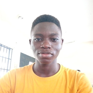 Eniola - Algebra tutor - Warri