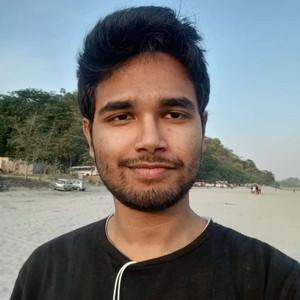 ALOKNATH - Maths tutor - Guwahati