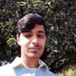 Ayush - Computer programming tutor - New Delhi