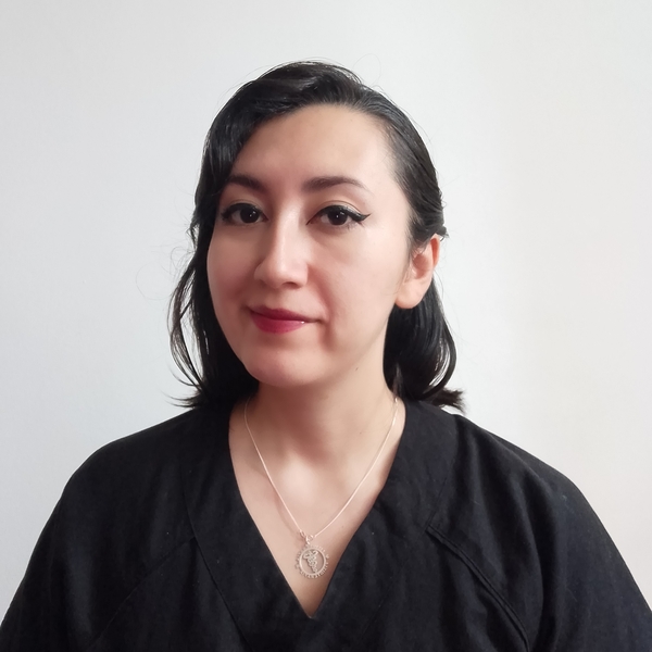 SILVY - Profesor de kinésithérapie - CDMX