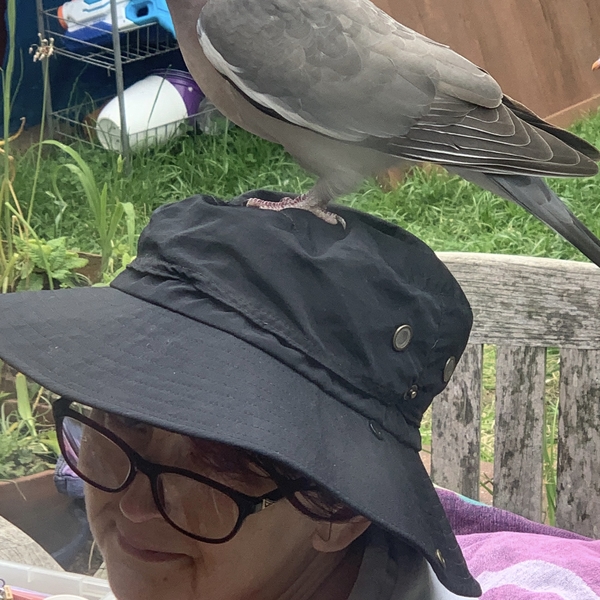 Patricia - Maths tutor - 