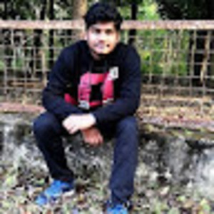Aditya Raj - Computer programming tutor - New Town