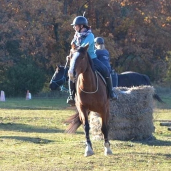 Charlotte - Prof d'équitation - La Celle-sous-Gouzon
