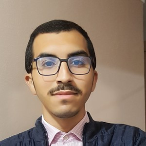 Hammy - Prof de maths - Grenoble