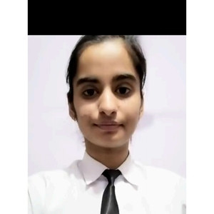 Vaidehi - Mathematics tutor - Jaipur