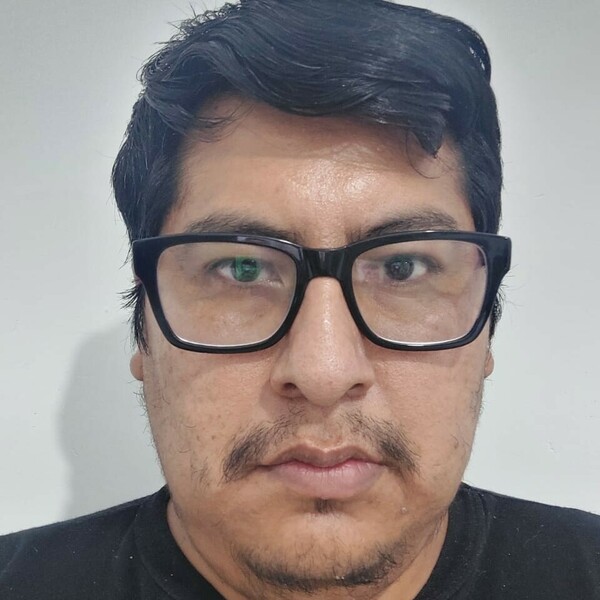 David - profesor de matemáticas - Tigre