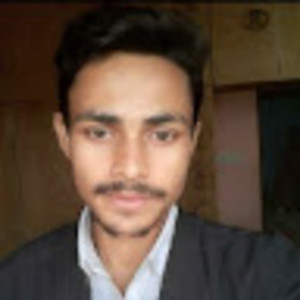 Ajay Kumar - Computer programming tutor - 