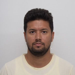 Nazish - Mathematics tutor - London