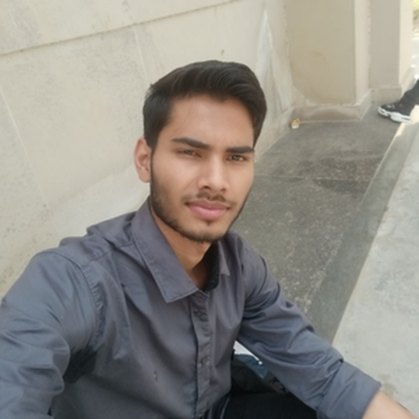 Ashish - Mathematics Tutor - Delhi