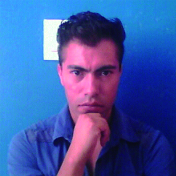 Luis Alberto - profesor de matemáticas - Santiago de Querétaro