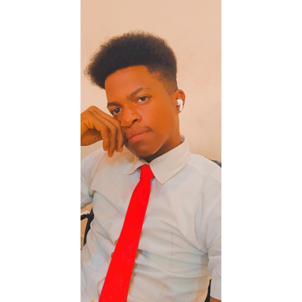 David - Mathematics tutor - Lagos