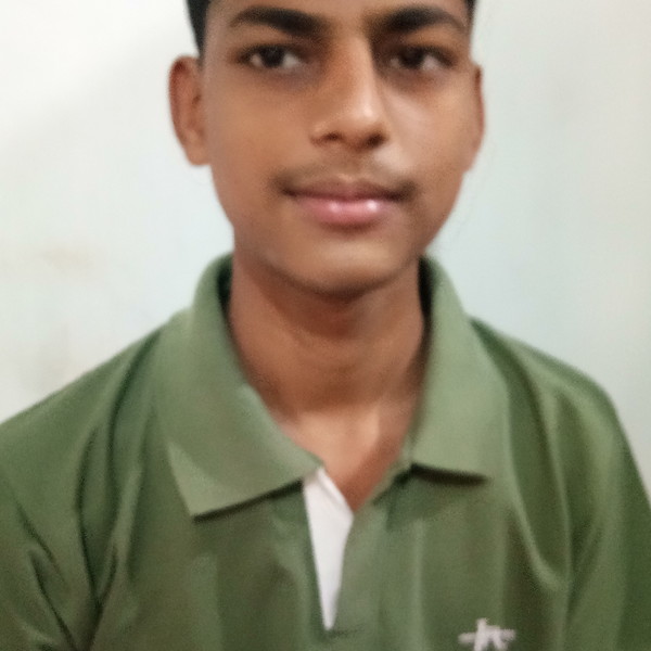 Ayush - Mathematics tutor - Nawada