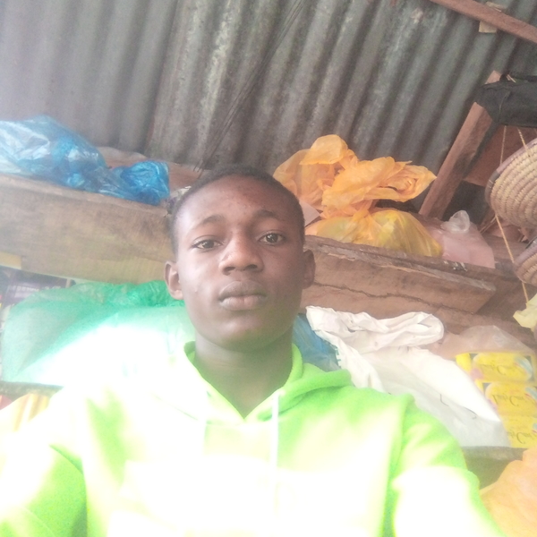 Dicksonegwu - Maths tutor - Asaba