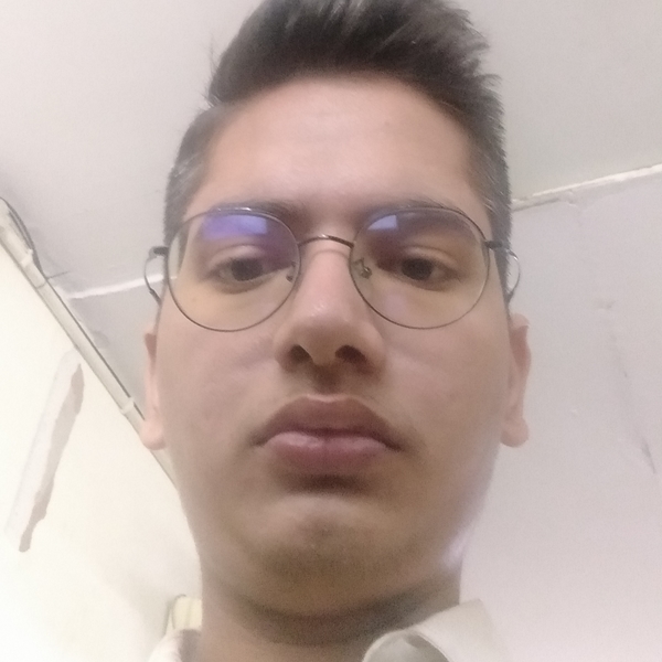 Abhay - Accounting tutor - New Delhi