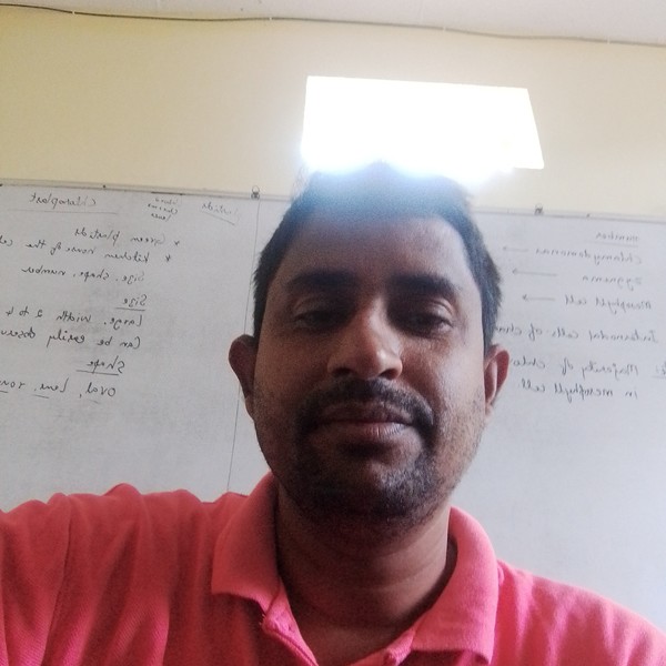 Nasim - Chemistry tutor - 