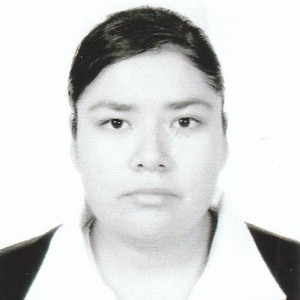 Perla - Profesor de informática básica - CDMX