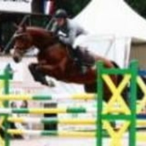 Sébastien - Prof d'équitation - Versailles