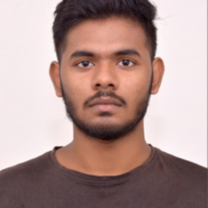 Prince - Computer skills tutor - Noida