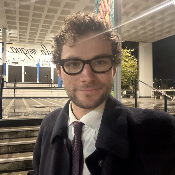 Timo - Prof de droit constitutionnel - Bordeaux