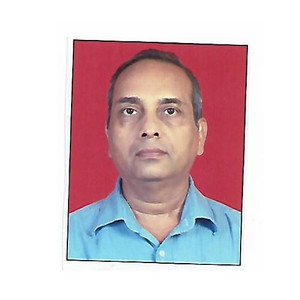 Rajesh - Physics tutor - Mumbai