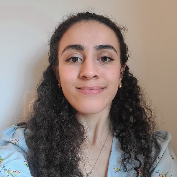 Salima - Prof de programmation - Torcy