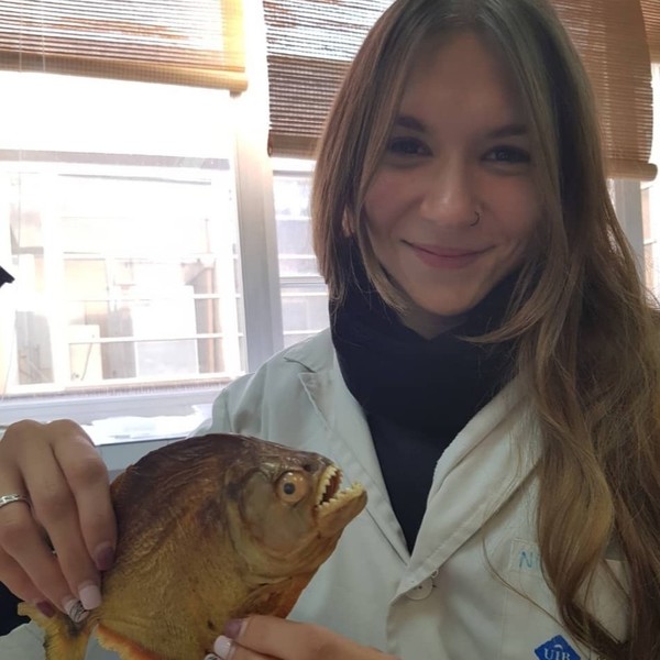Nicole - profesor de matemáticas - Palma