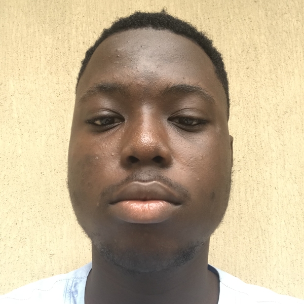 Akanni - Maths tutor - Lagos