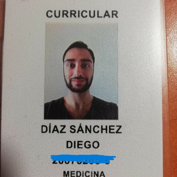 Diego - profesor de química - Vitacura