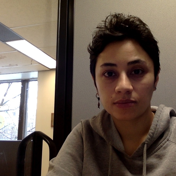 Bahareh English tutor in Montreal 25€/h