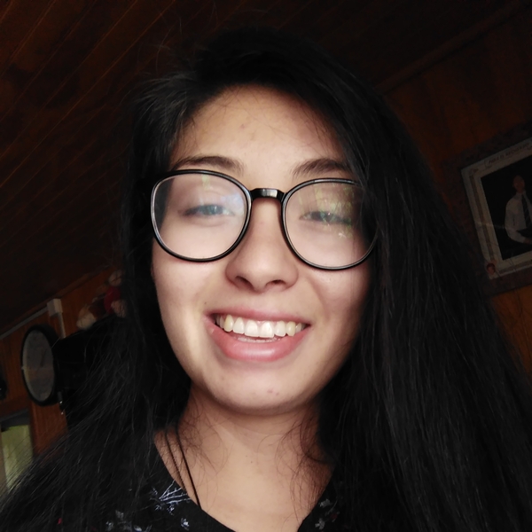 Tamara - profesor de matemáticas - Chillan