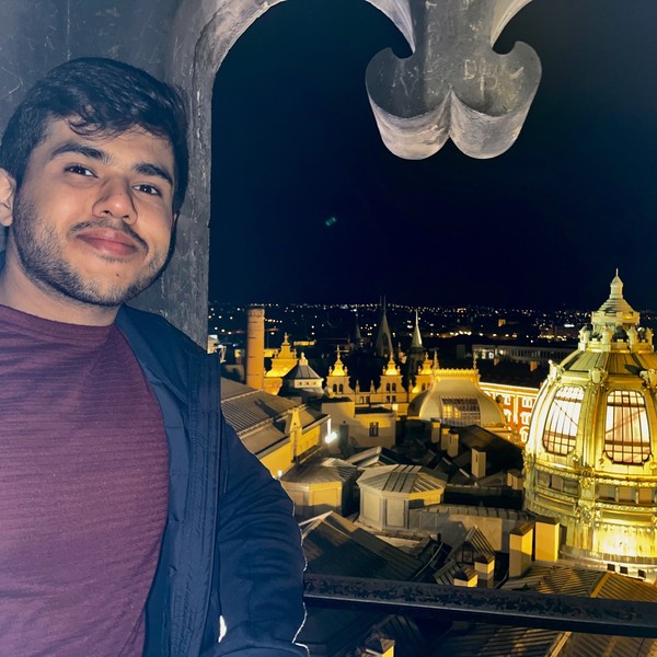 Nilesh - Lehrkraft für Mathematik - Mannheim