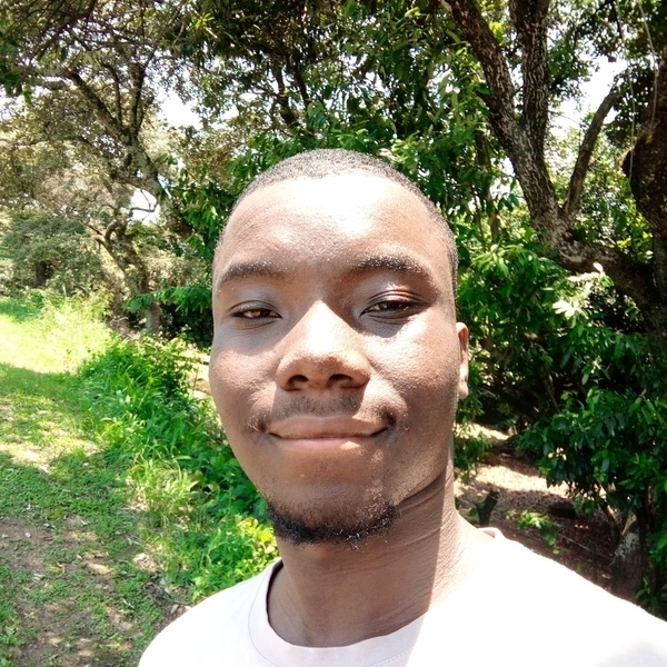 Wandile - English tutor - Johannesburg