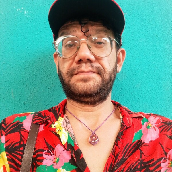 Hemmes Formado Em Letras Português Inglês Com Mestrado Em