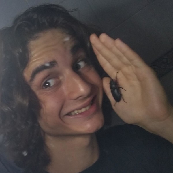 Nicolás - Profesor de apoyo escolar - Madrid