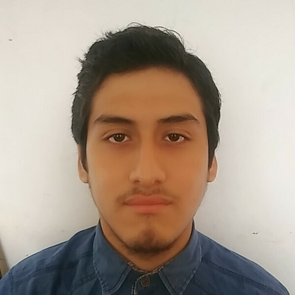Brian - Profe de matemáticas - Callao