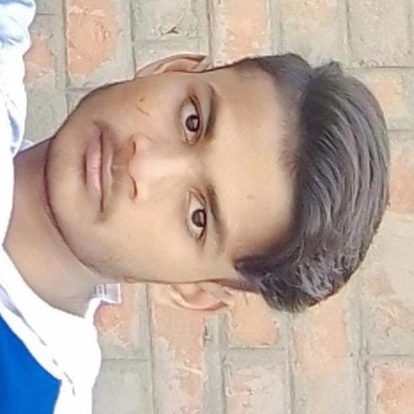 mr-patna-bihar-i-am-a-professional-hindi-teacher-and-i-can-teach