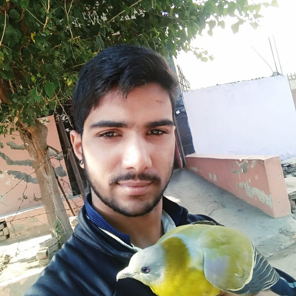 Amar Singh - Computer programming tutor - New Delhi