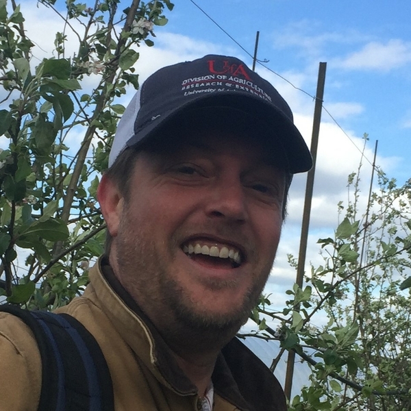Stephen - Mathematics tutor - Brookings