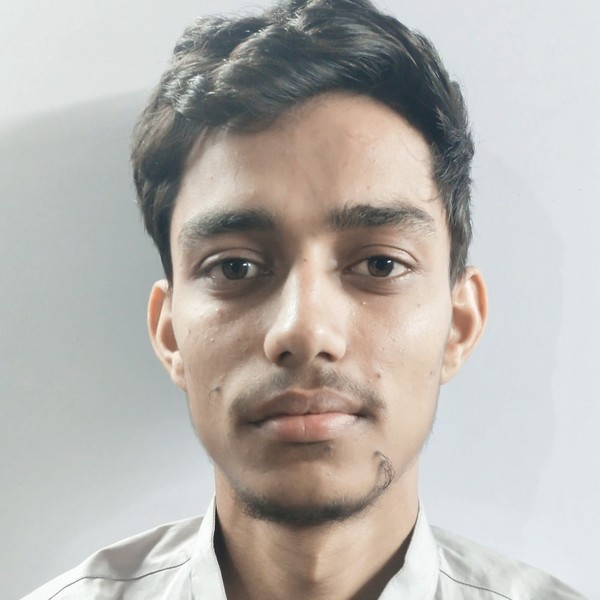 Nikhil Kumawat - Biology teacher - Peethawas