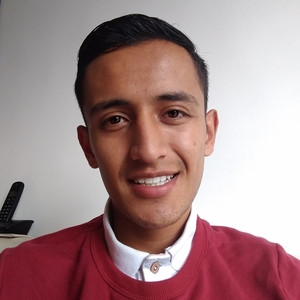 Brayan Nicolas - Profe de programación - Bogotá