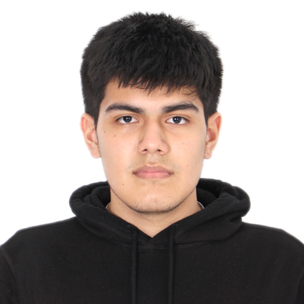 Luis - Profe de matemáticas - Lima