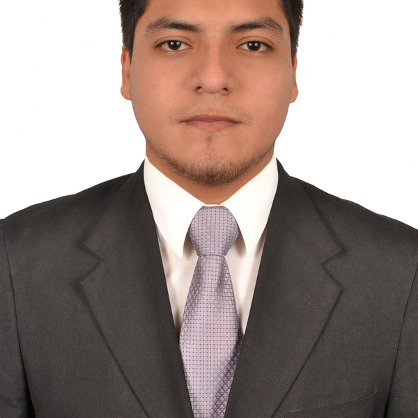 Luis Fernando - profesor de matemáticas - Lima