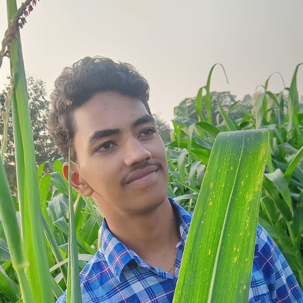 Narasimha - Math tutor - Bhadrachalam